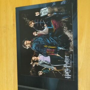 Harry Potter Collectible Lithograph